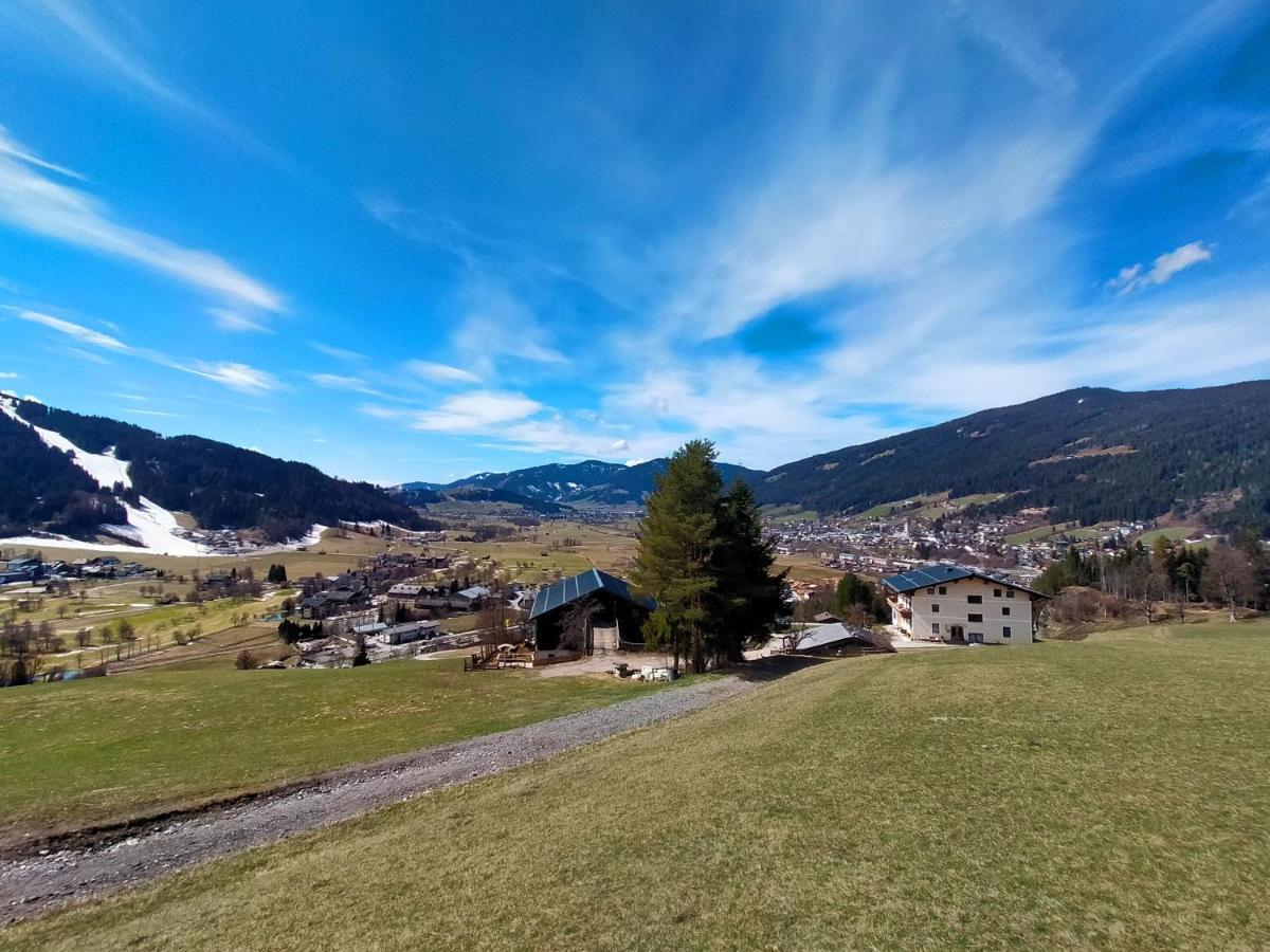 Sauschneidhof - Radstadt Ngoại thất bức ảnh