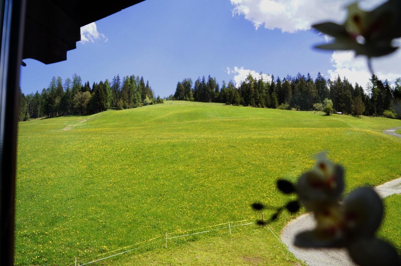Sauschneidhof - Radstadt Ngoại thất bức ảnh