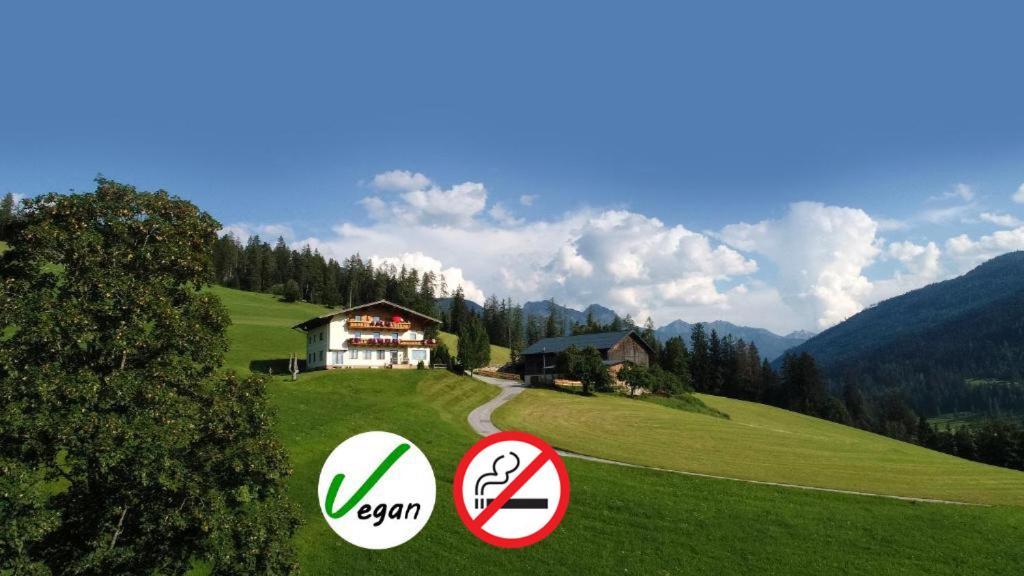 Sauschneidhof - Radstadt Ngoại thất bức ảnh